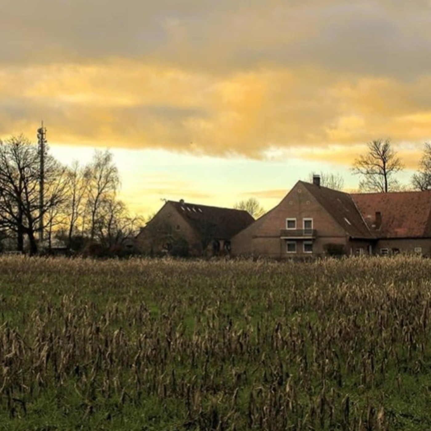 Cinéfilos de estar por casa