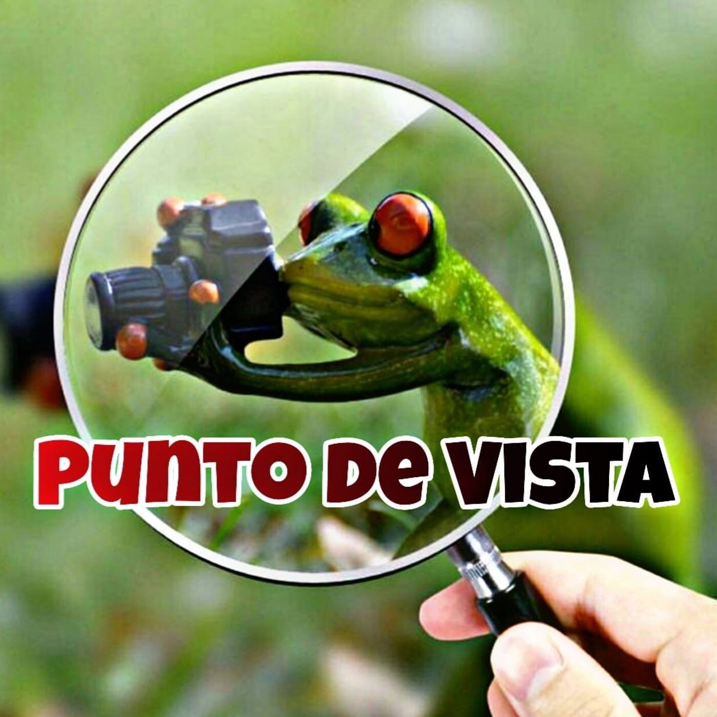 Punto de Vista