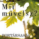 Bárdos Sarolta, Tokaj Nobilis