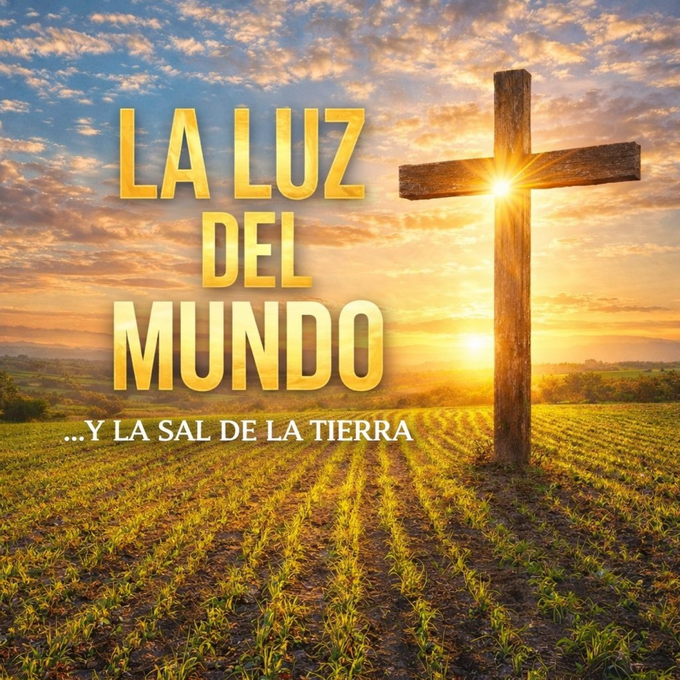 La Luz del mundo y la Sal de la tierra