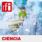 Ciência - Cientistas preconizam medidas de protecção dos insectos