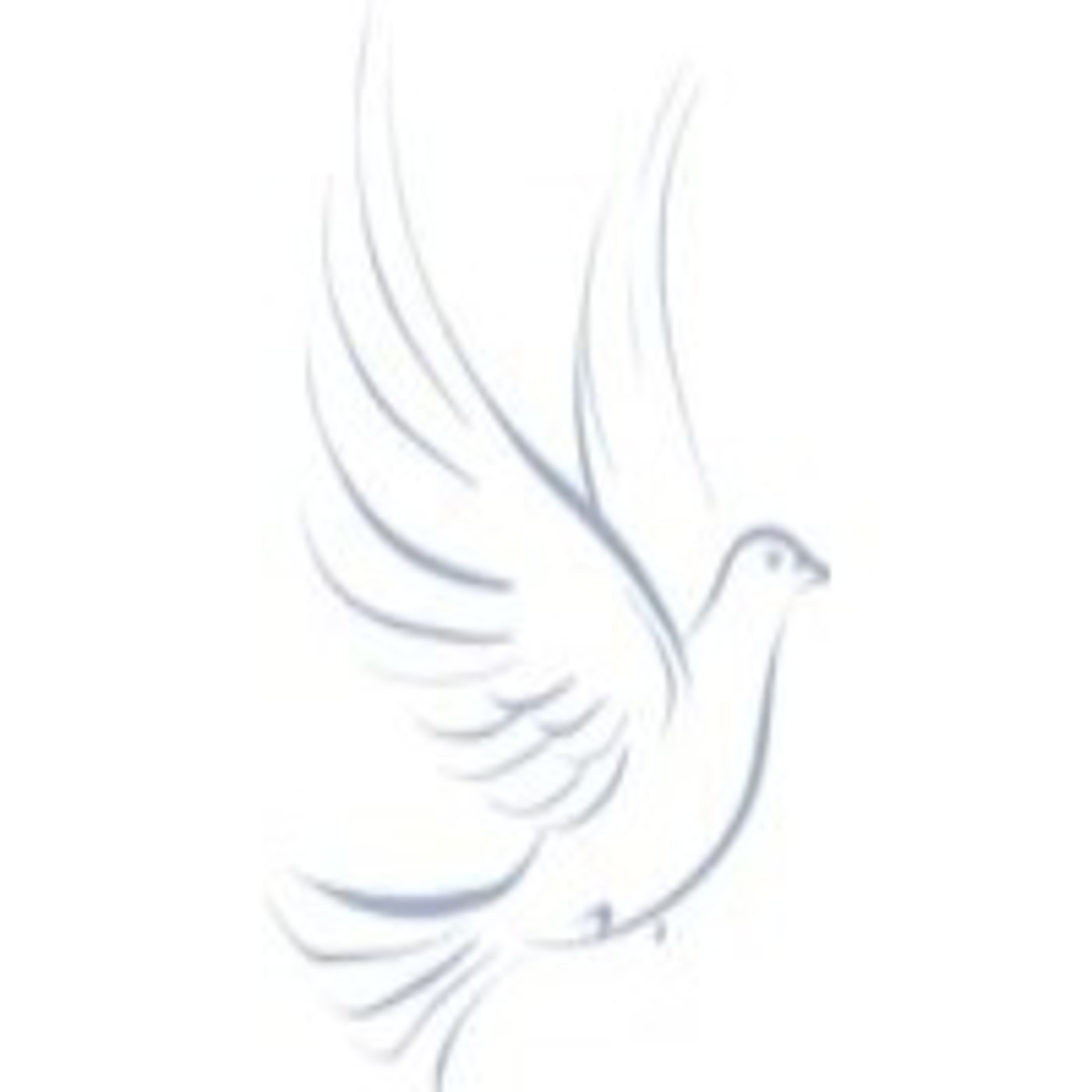 Podcast LA VOZ DE CRISTO