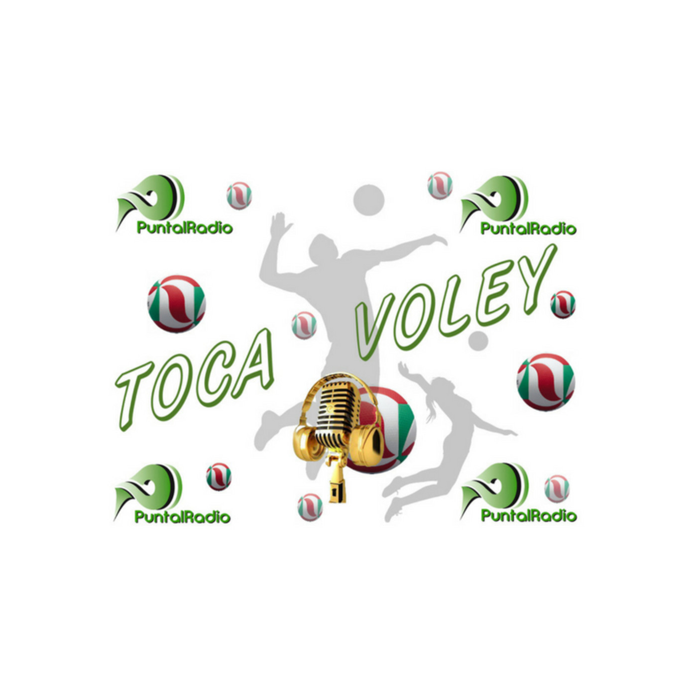 TOCA VOLEY