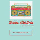 Bocins d'Història
