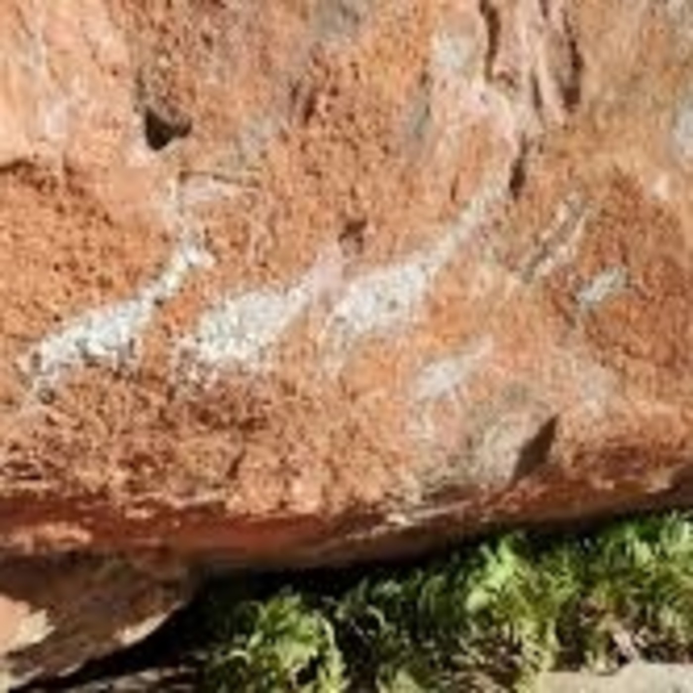 6º Geografía 2020 - INSM