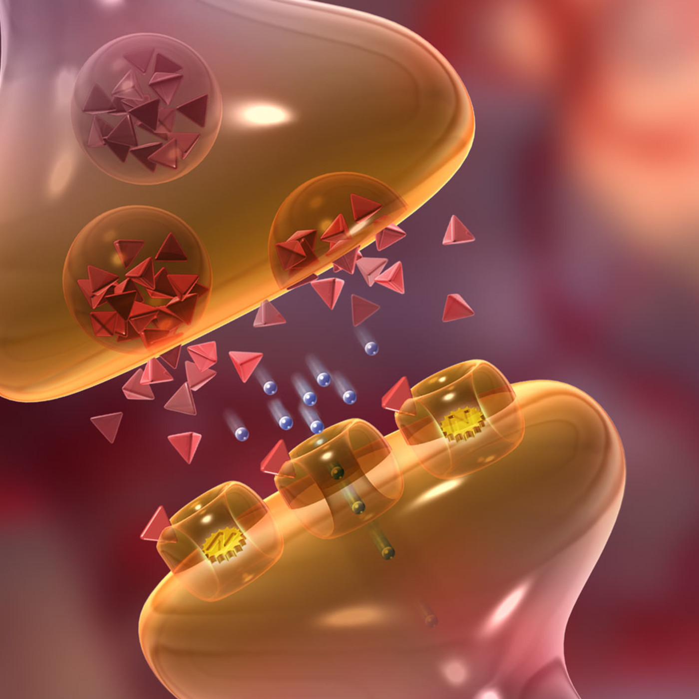 Tratamiento BD Lucas Saa