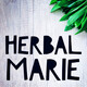 Herbal Tarot: The High Priest Sage