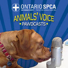 Ontario SPCA