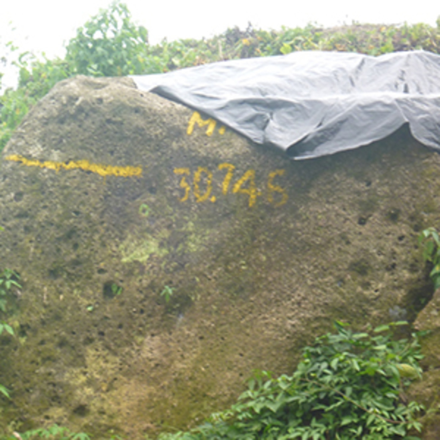 Proyecto Hidroeléctrico Tumarín