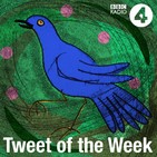 Brian Brigg's Tweet of the Week, Pt 1