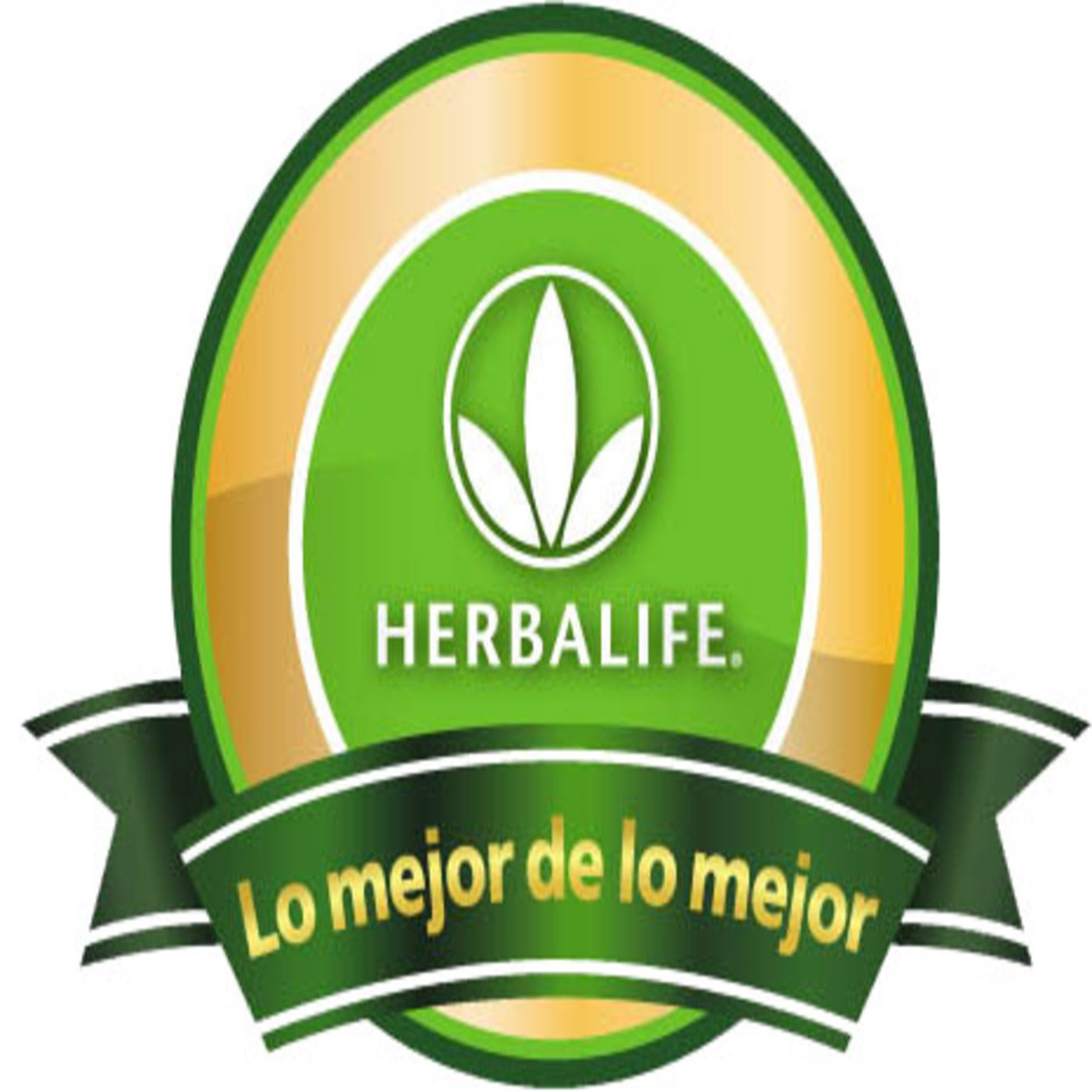 Marketing Multinivel