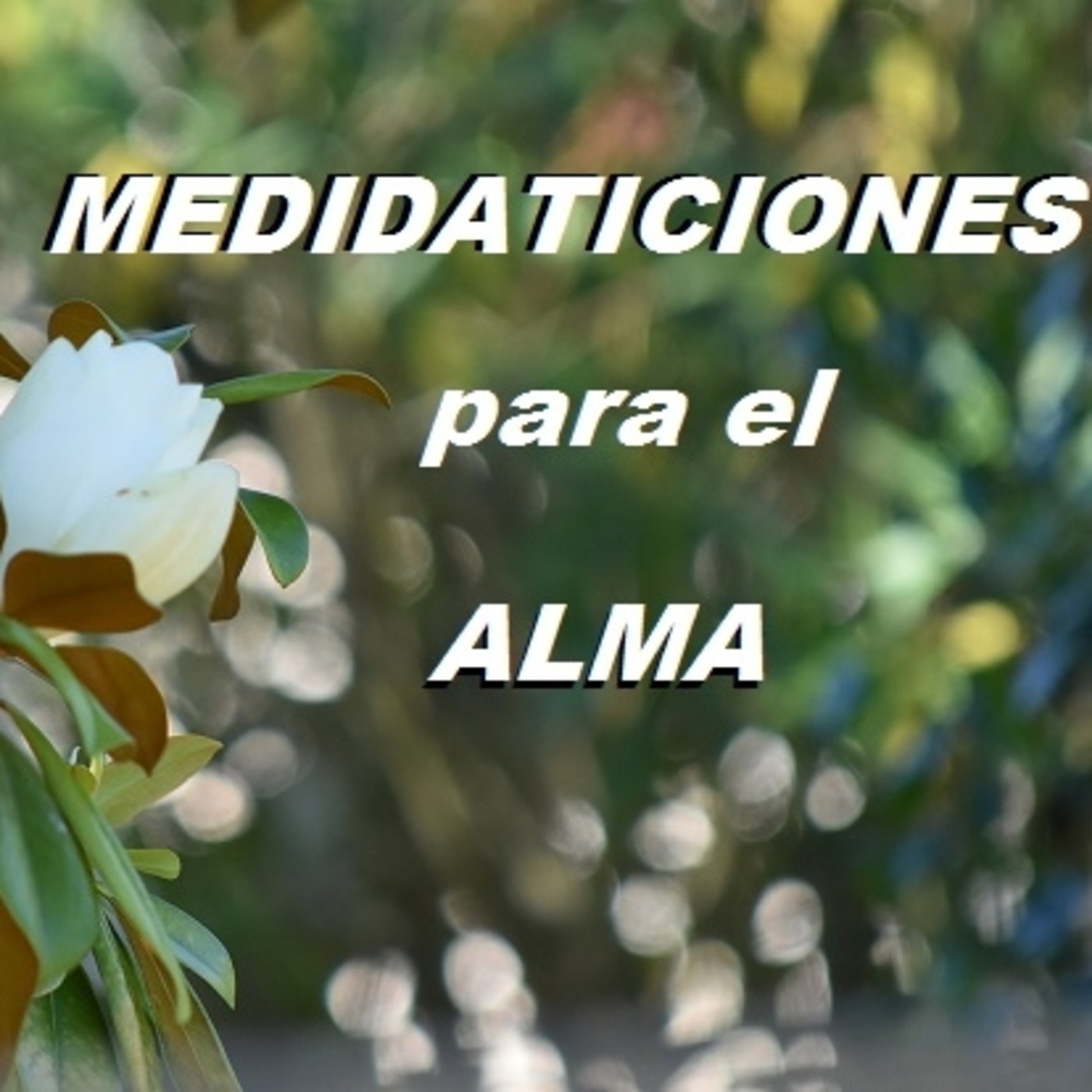Meditaciones guiadas para el alma.