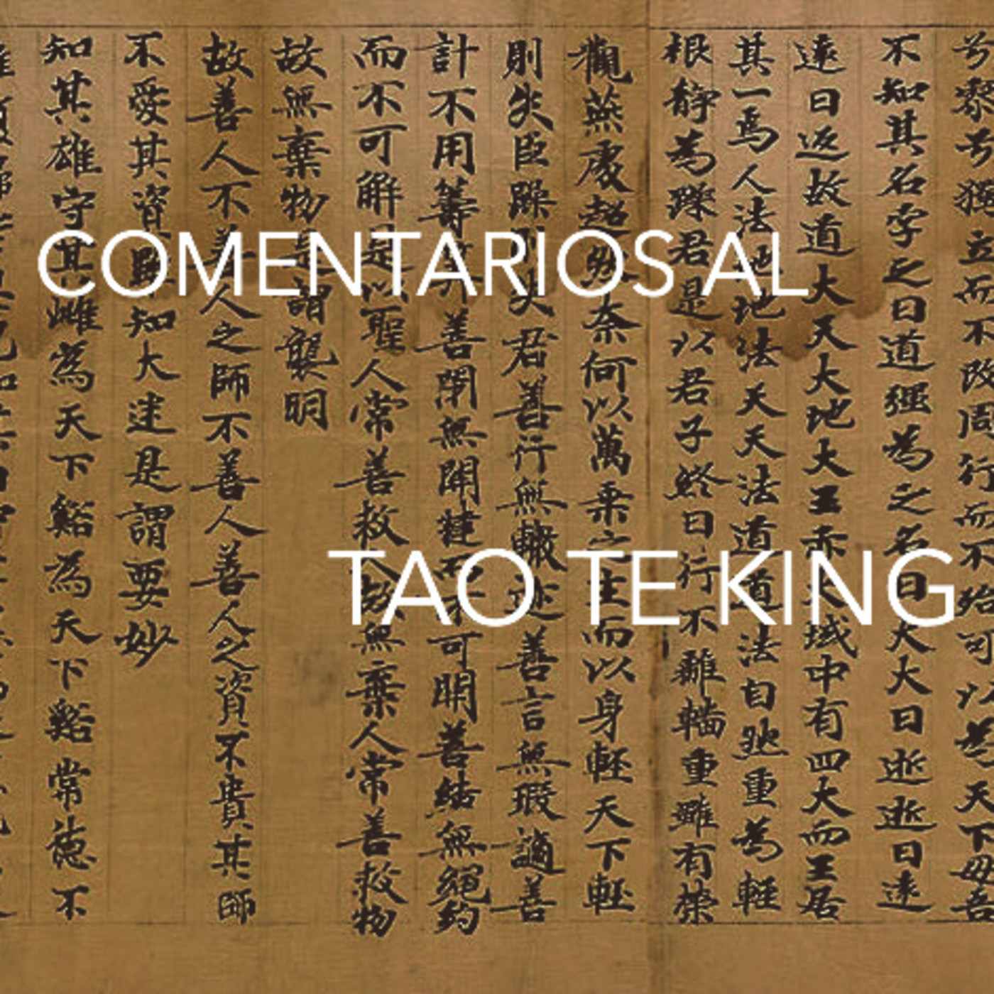 Comentarios al Tao Te King