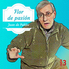 Flor de pasión - 11/01/19