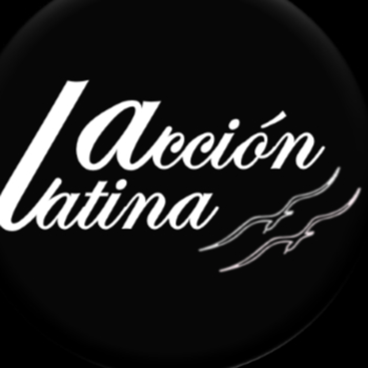 OSCAR SCARPETA - ACN