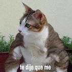 las gemelas