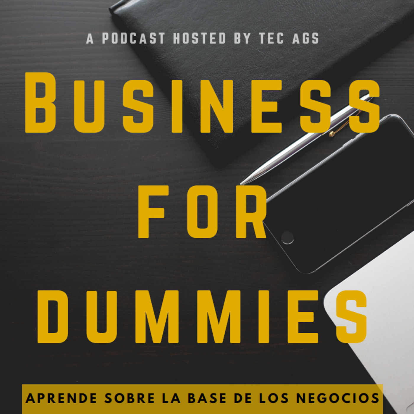Business for dummies
