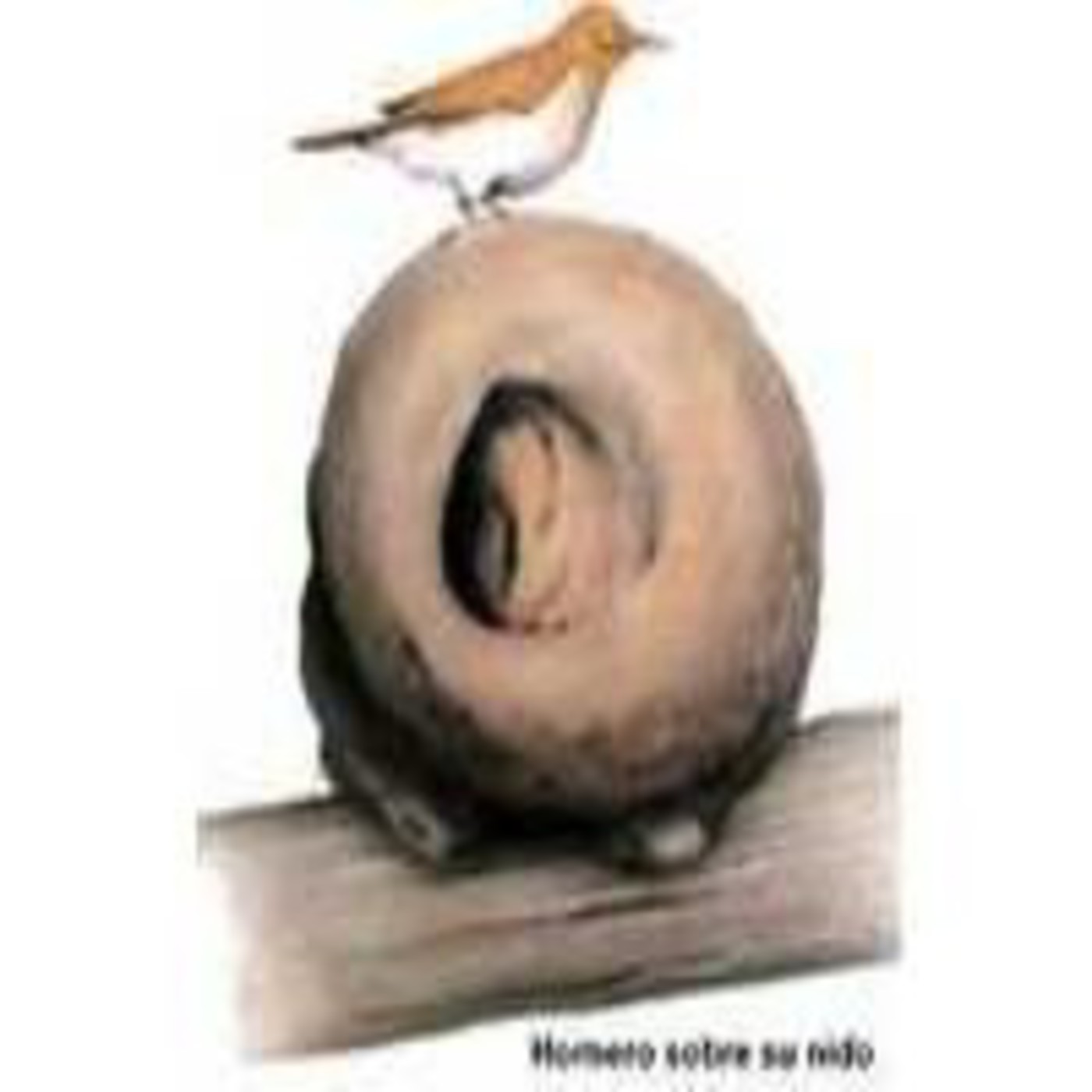 Emisora Educativa El Hornero