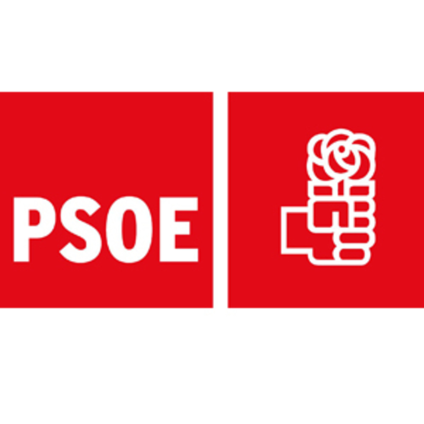 Psoe San Felices de Buelna
