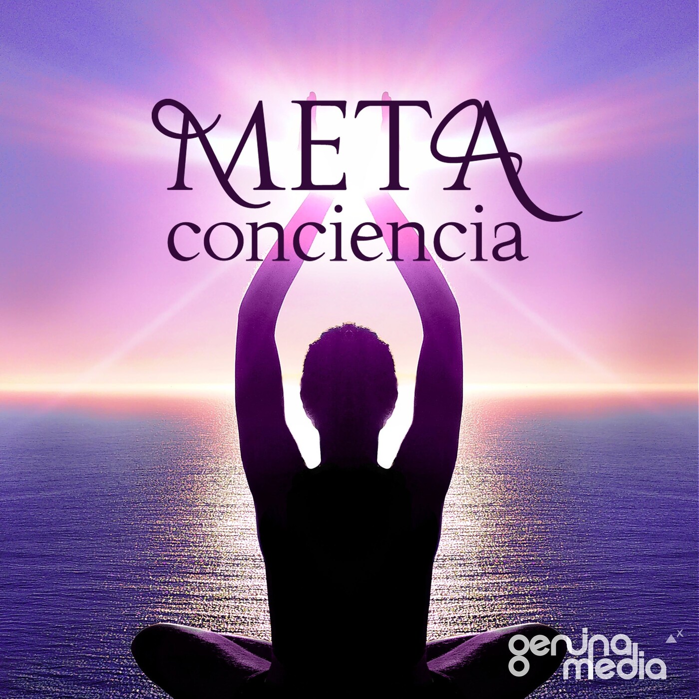 META Conciencia