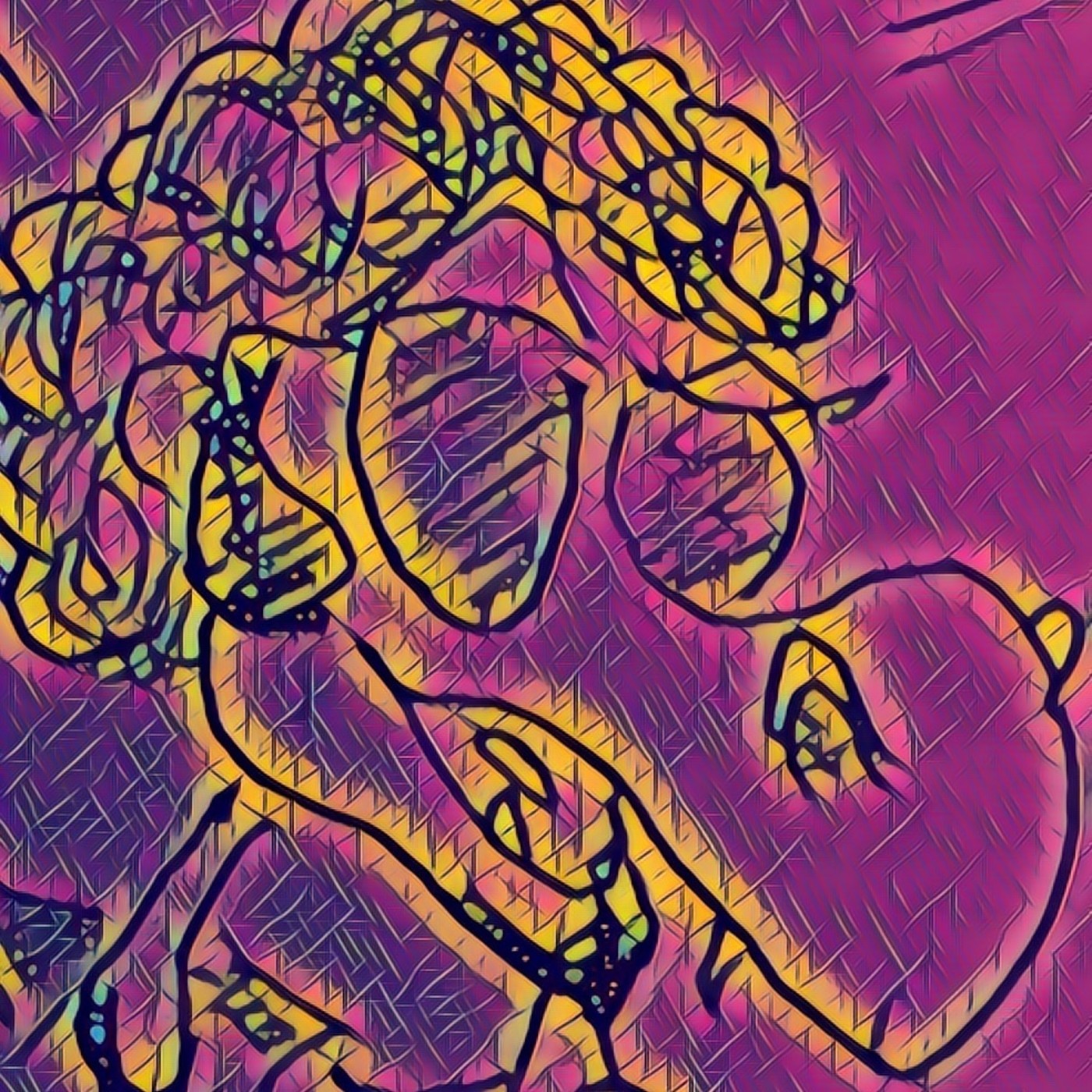 Funkysaurio Superboogie