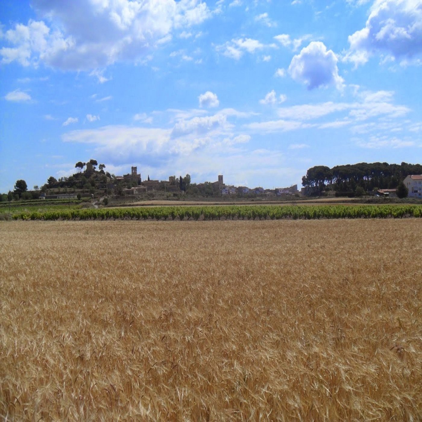 GENT DE BANYERES