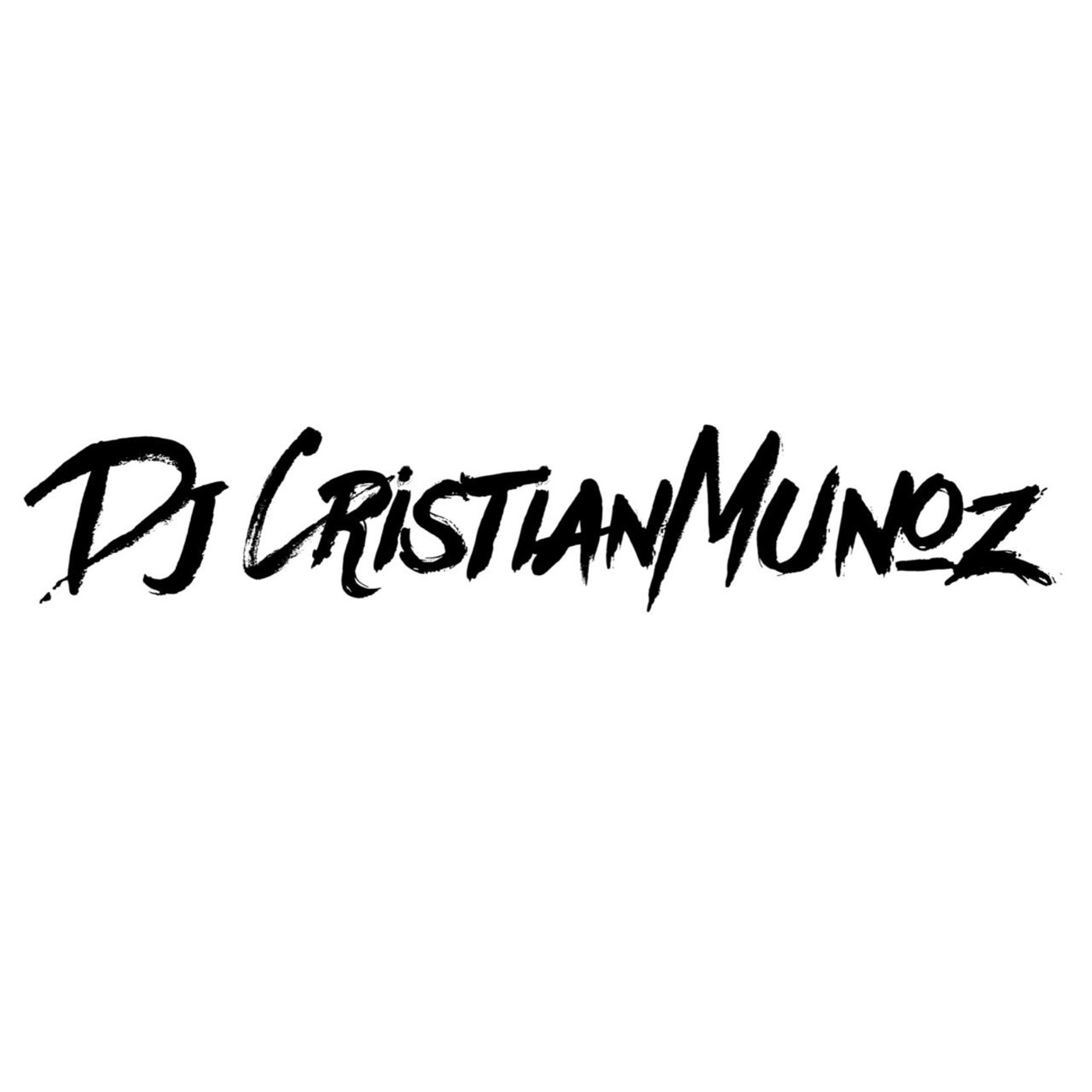 CristianMunozdj