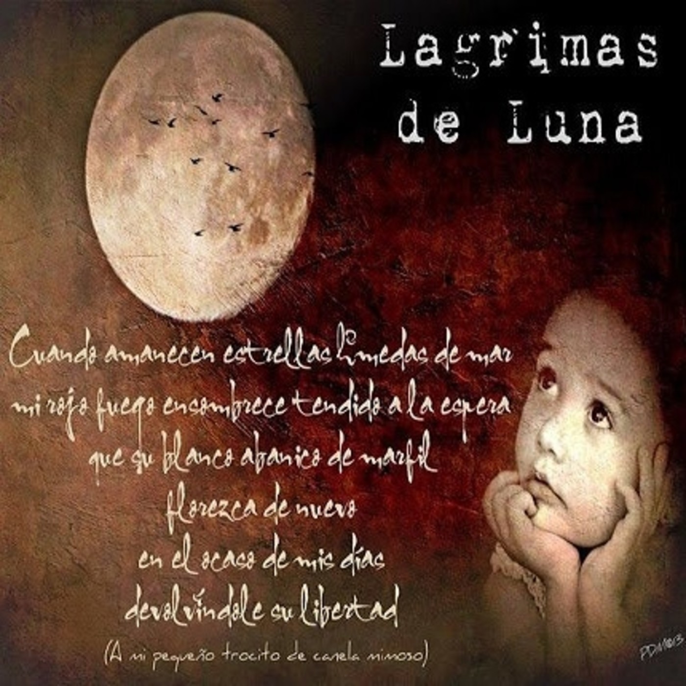 Lucíadiscomix