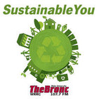 Sustainable (green) Christmas