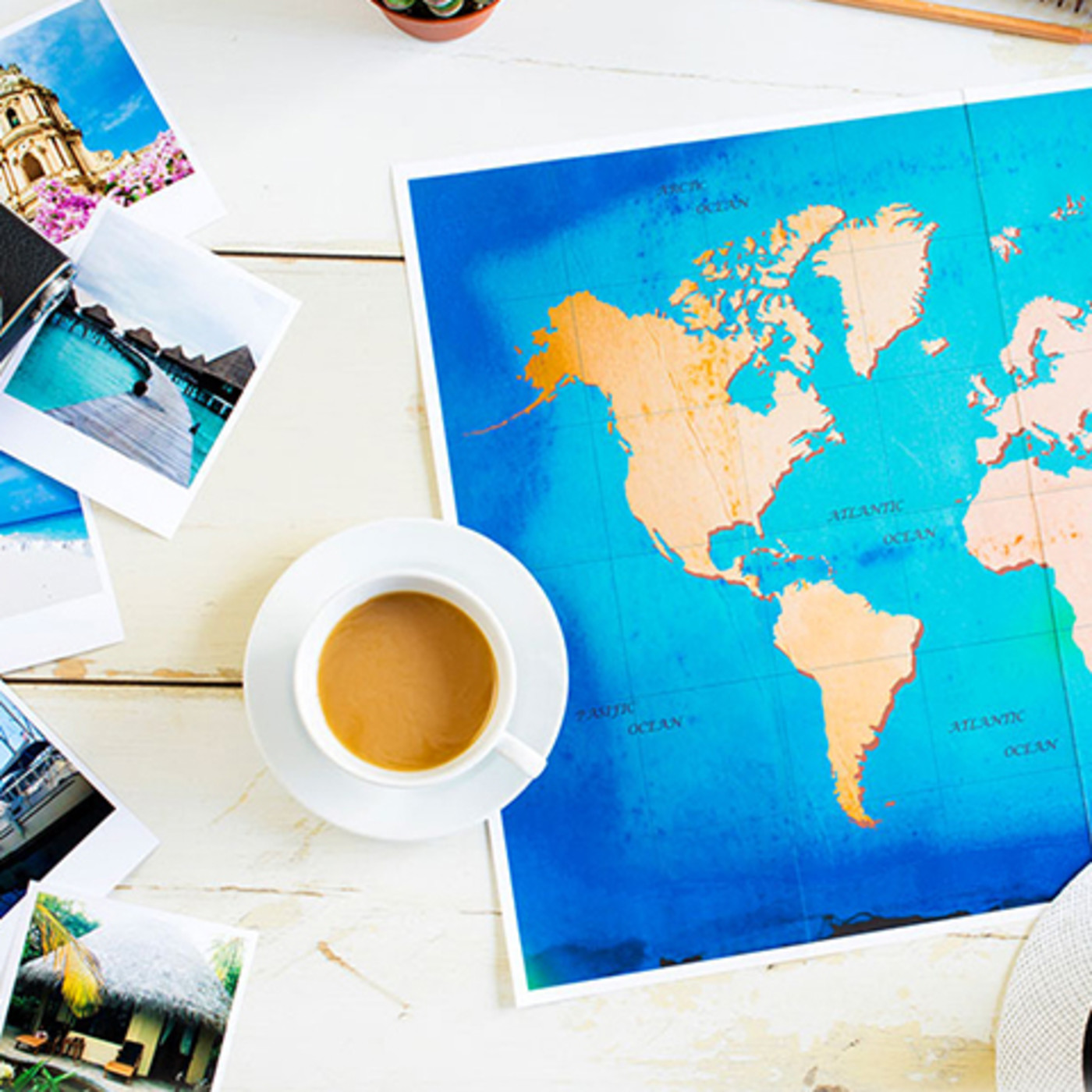 Domingo 12 de enero - Paralelo20