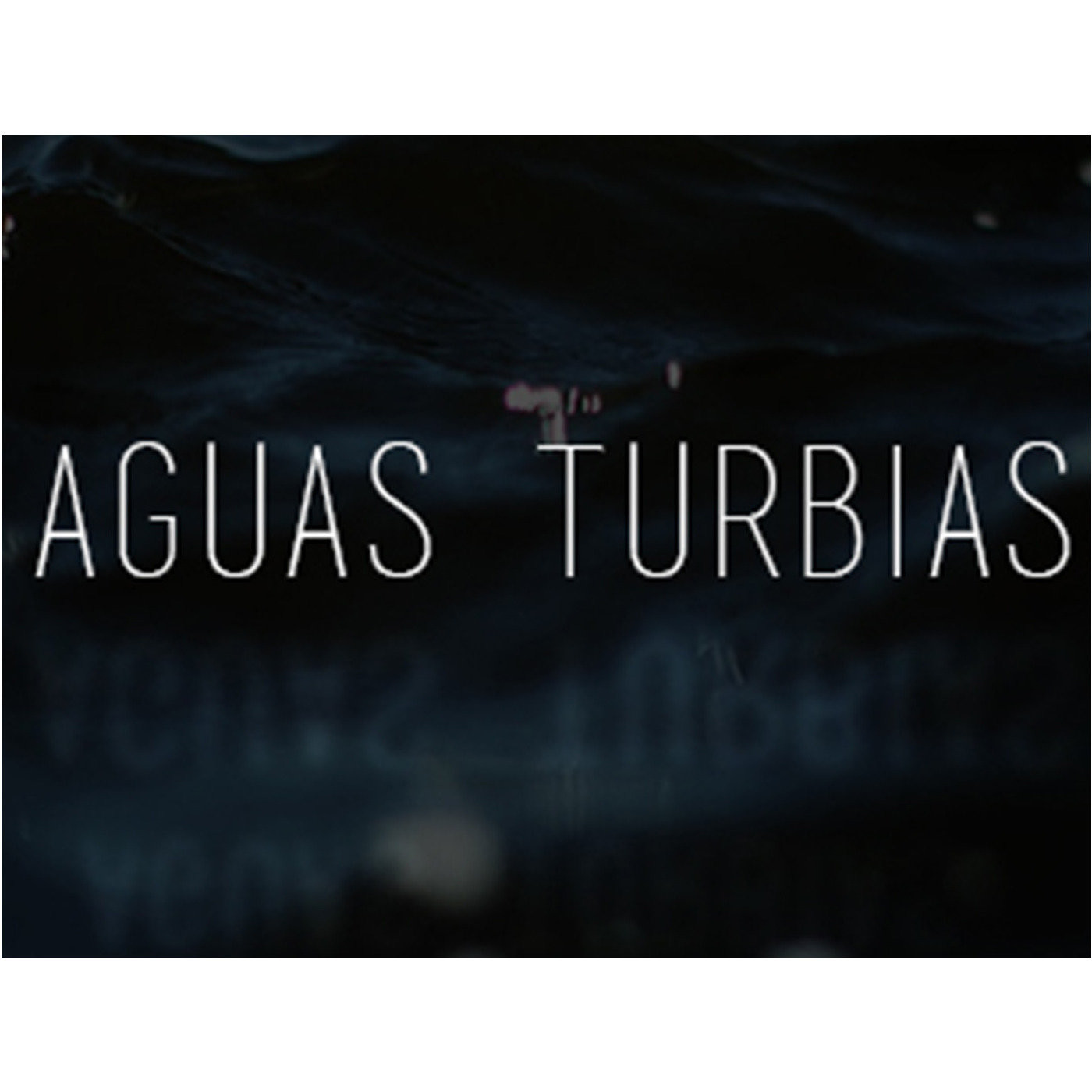 Las ficciones de Aguas Turbias