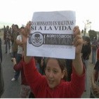 Liliana Olivero, presentacion ley contra monsanto