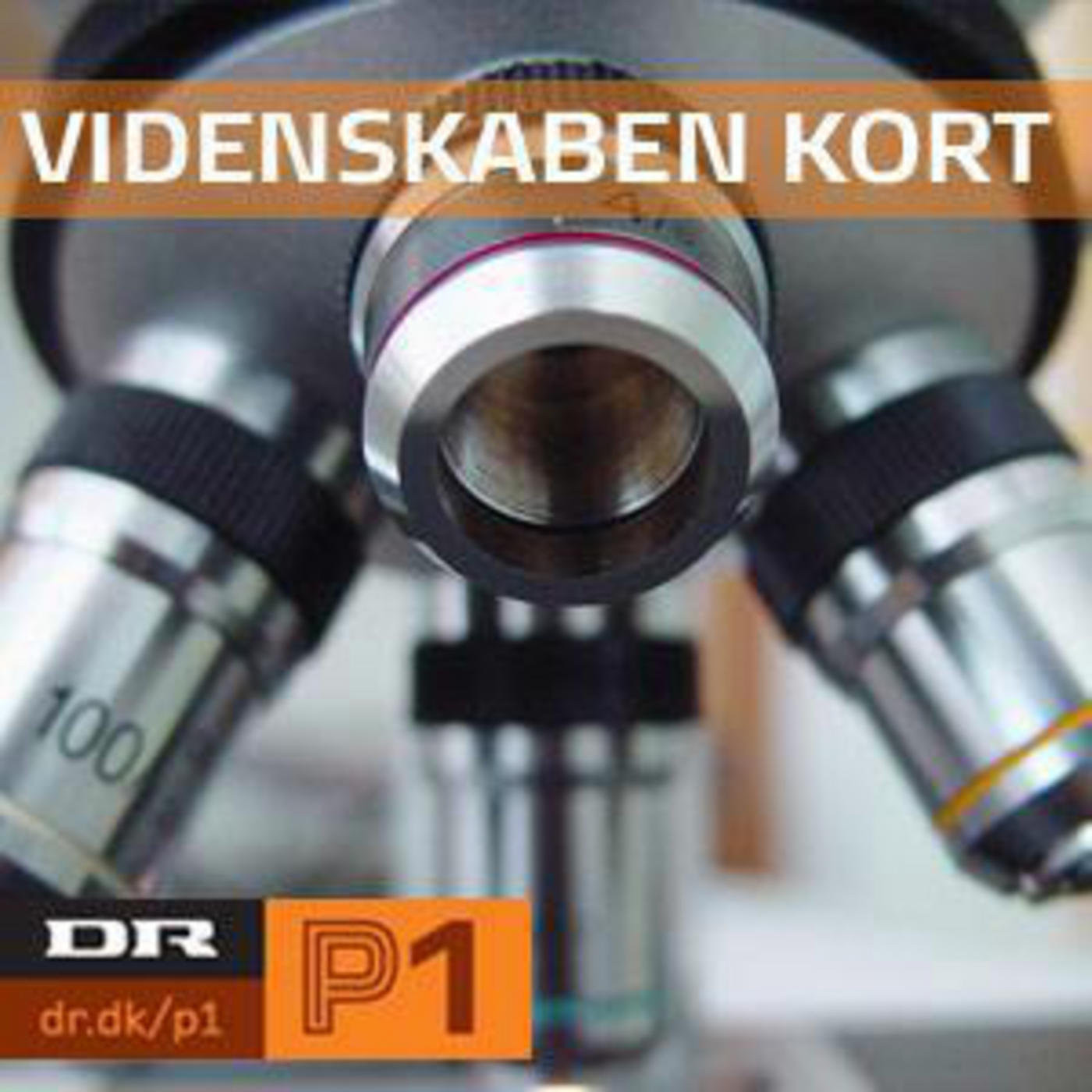 Videnskaben Kort