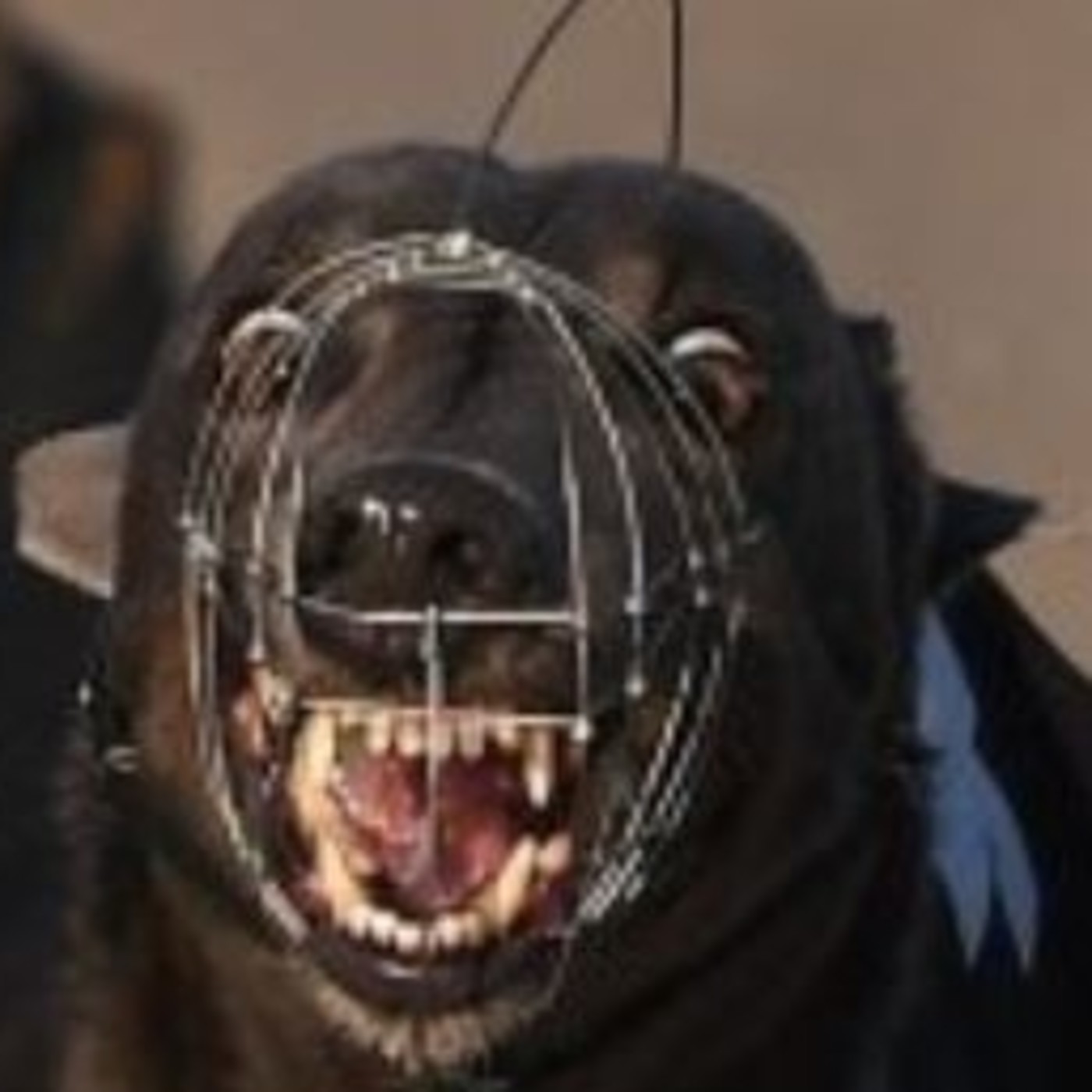 Sonrisa o Muerte