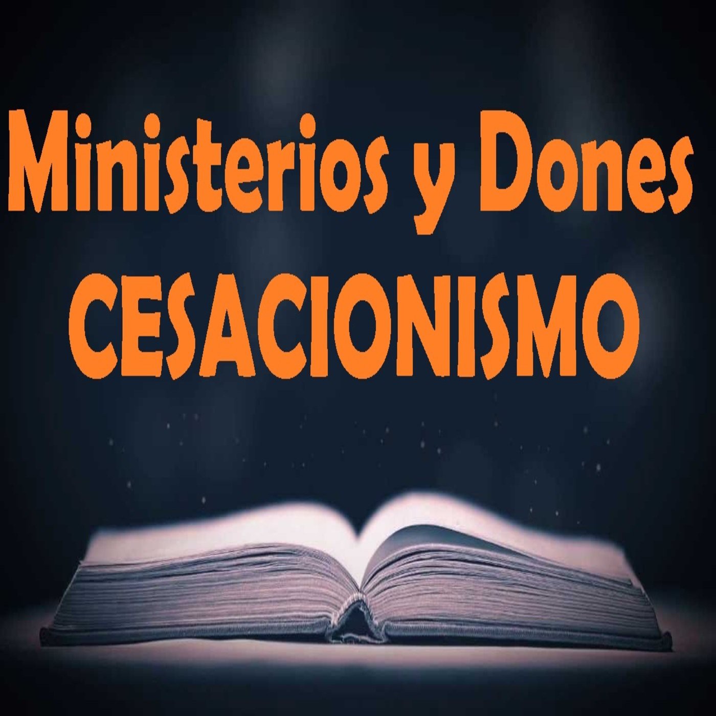 07 Don de Lenguas