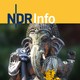 Indien im Hochzeitsfieber