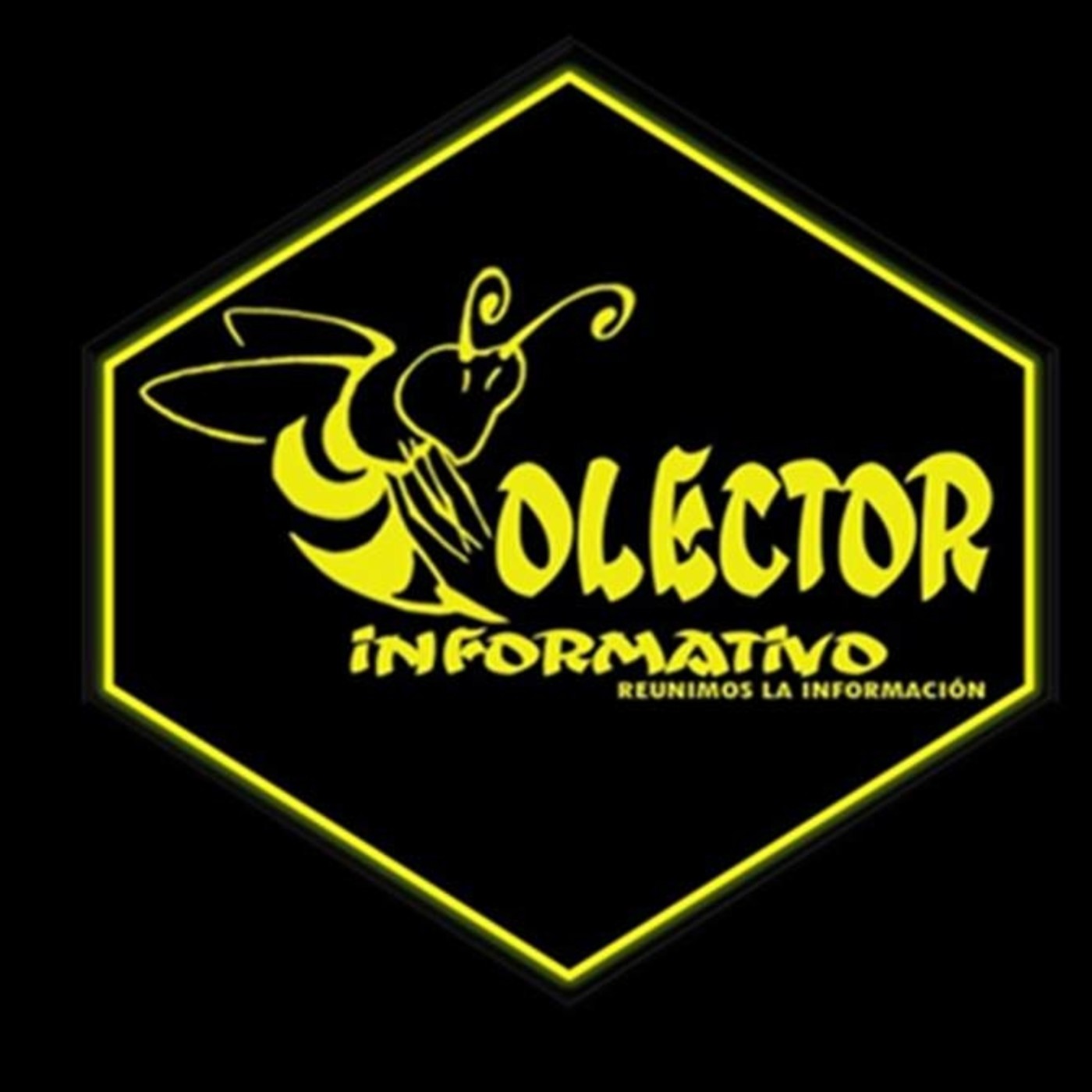 COLECTOR INFORMATIVO 