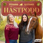 Utseendehets och perfektion inom ridsporten