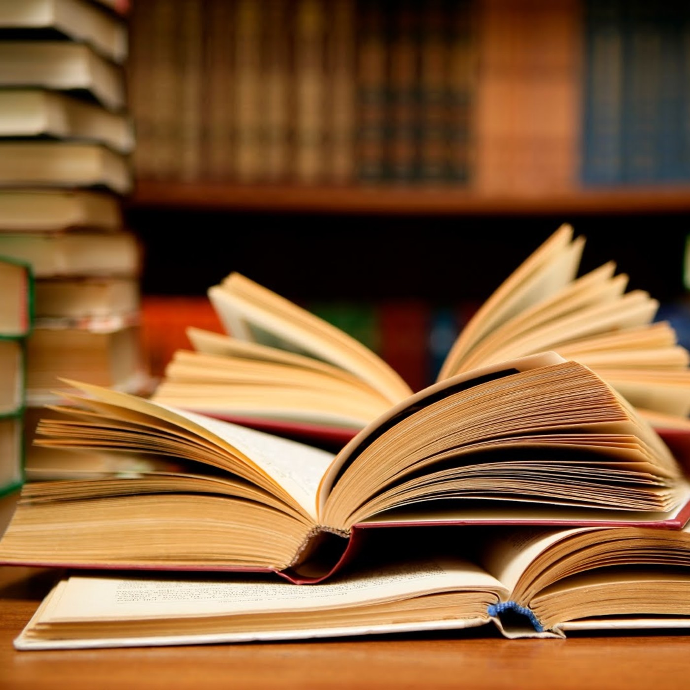 ¡A leer se ha dicho...!