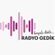 Kurumsal yÖnet?m /selda seÇk?nler
