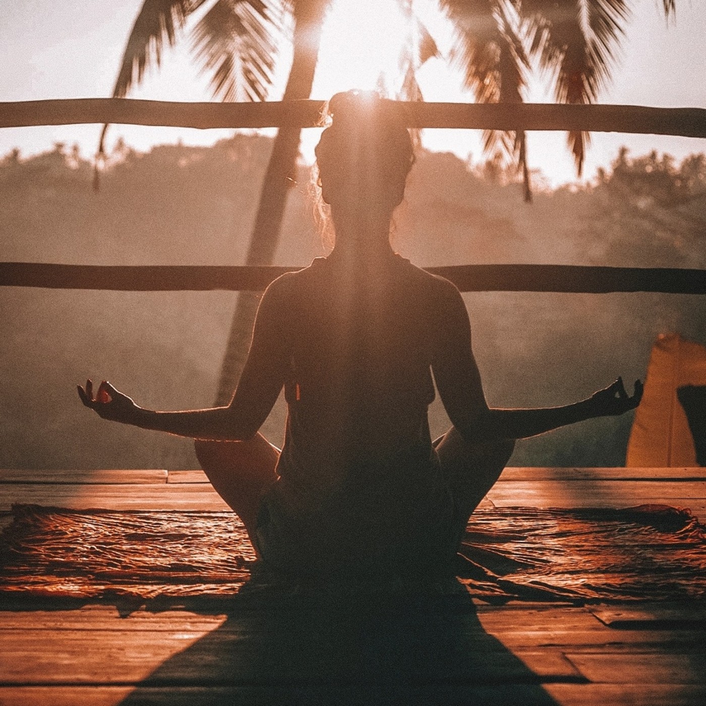 Fractal Musica Meditación