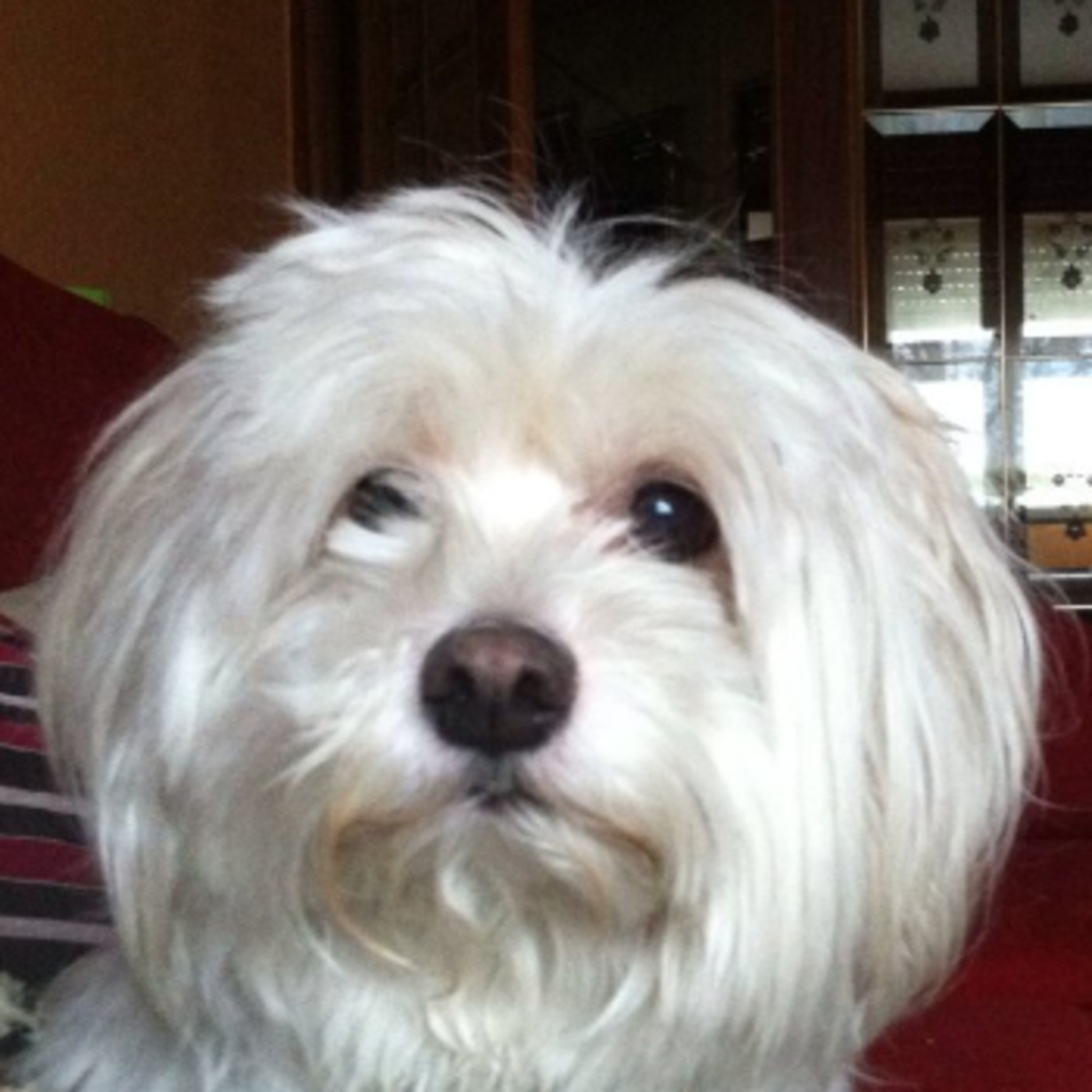 El rincón de Quillo Barrios