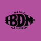 IBDM Radio Galleria Episodio 7