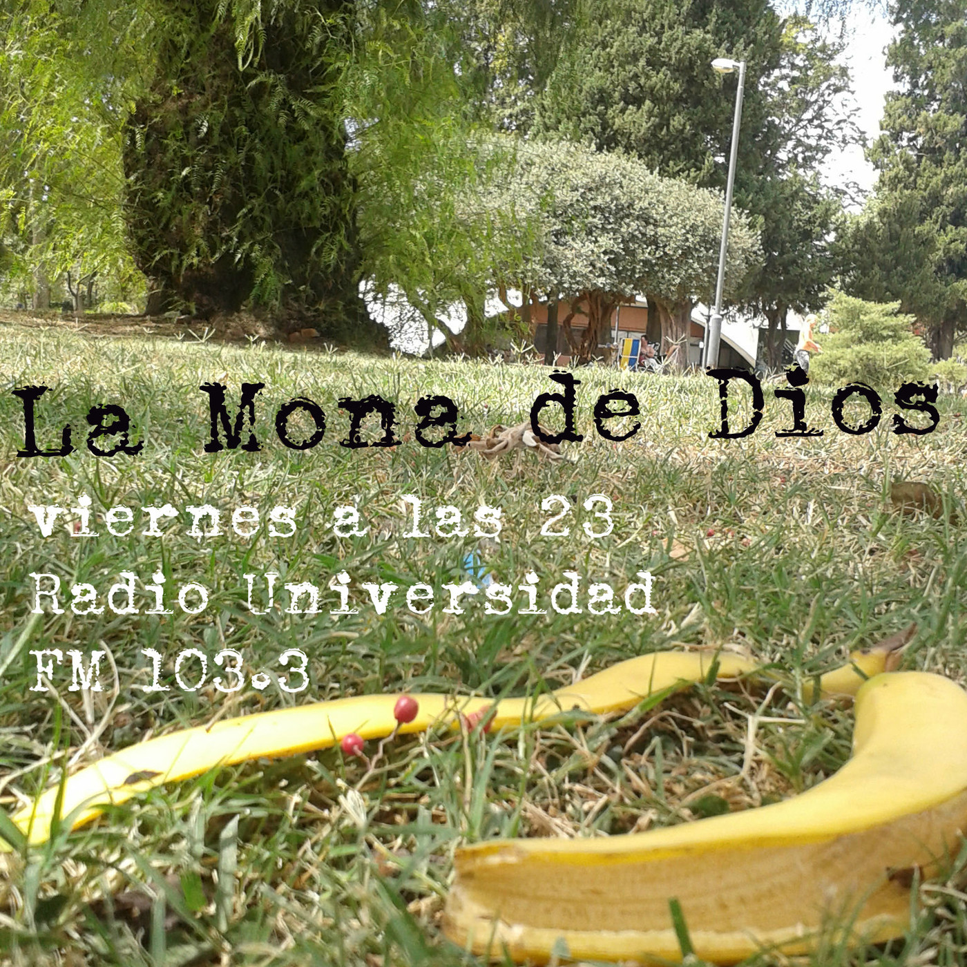 La Mona de Dios///Temporada 2018