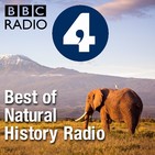 Planet Puffin. Episode 9: Nuffin' Like a Puffin