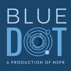 Blue Dot 156: The Ridgecrest Earthquakes: Pondering A Tectonic Riddle