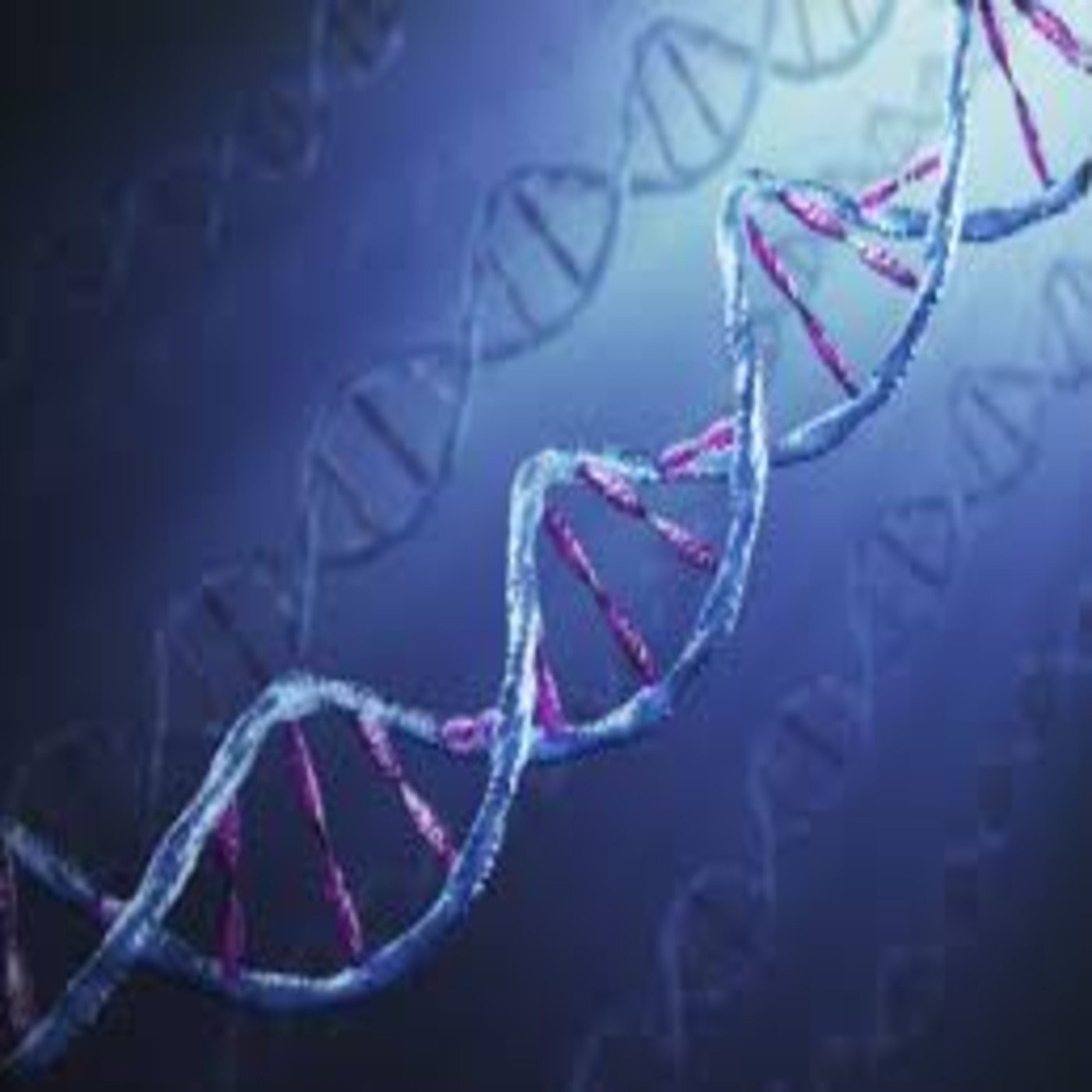 Píldoras del buen saber