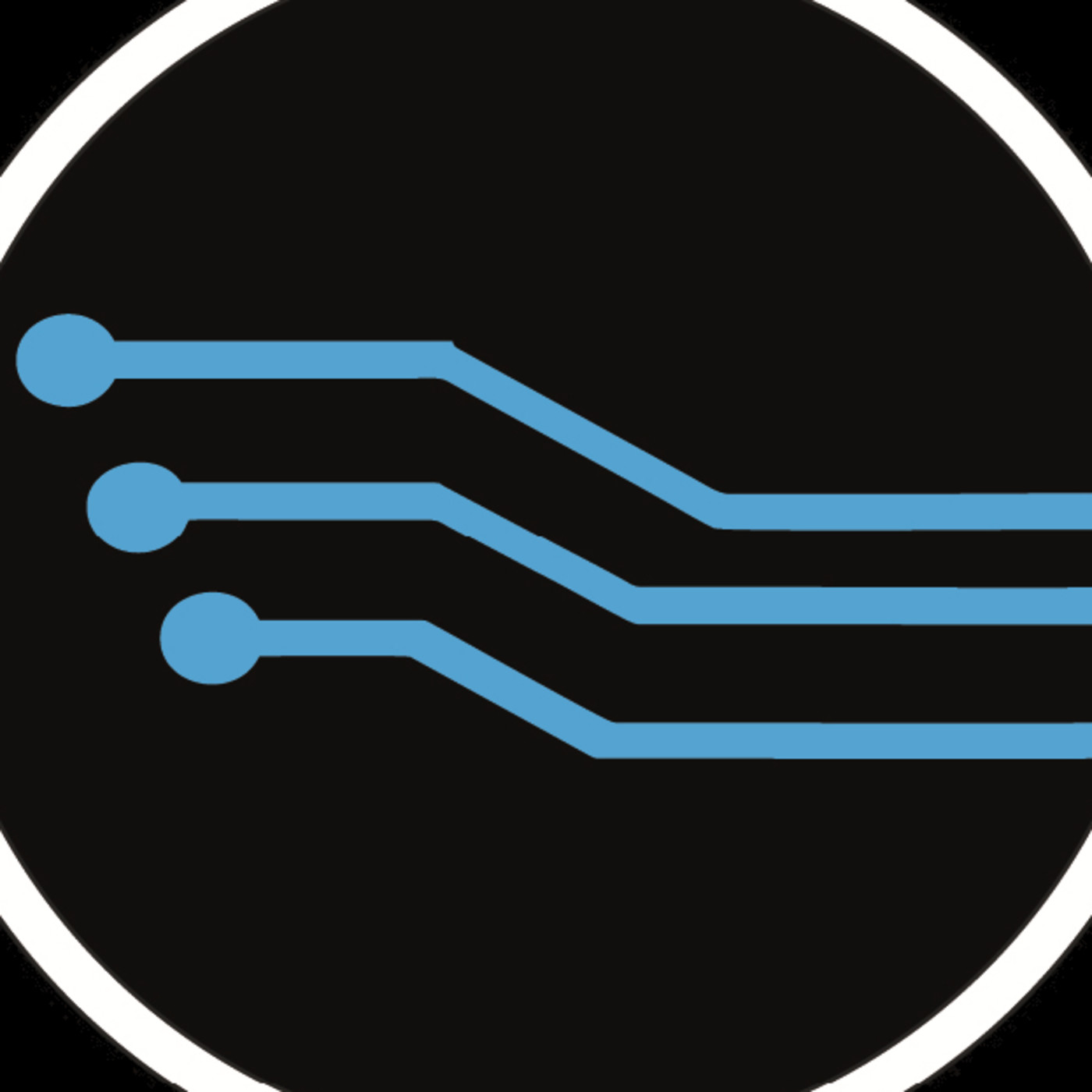 Problemáticas en Holbox y Tulum