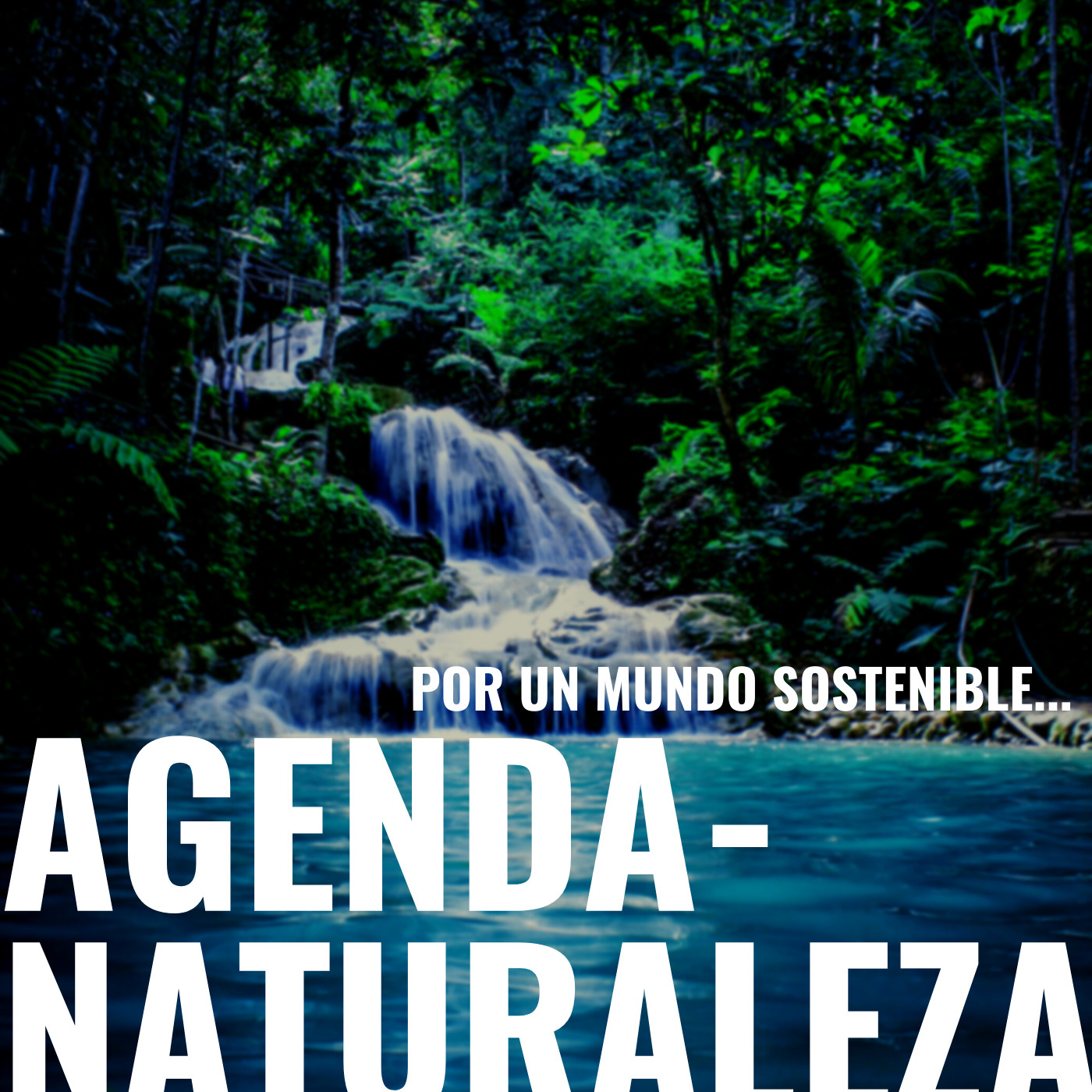 Agenda naturaleza 112. los tres consejos del bosque.
