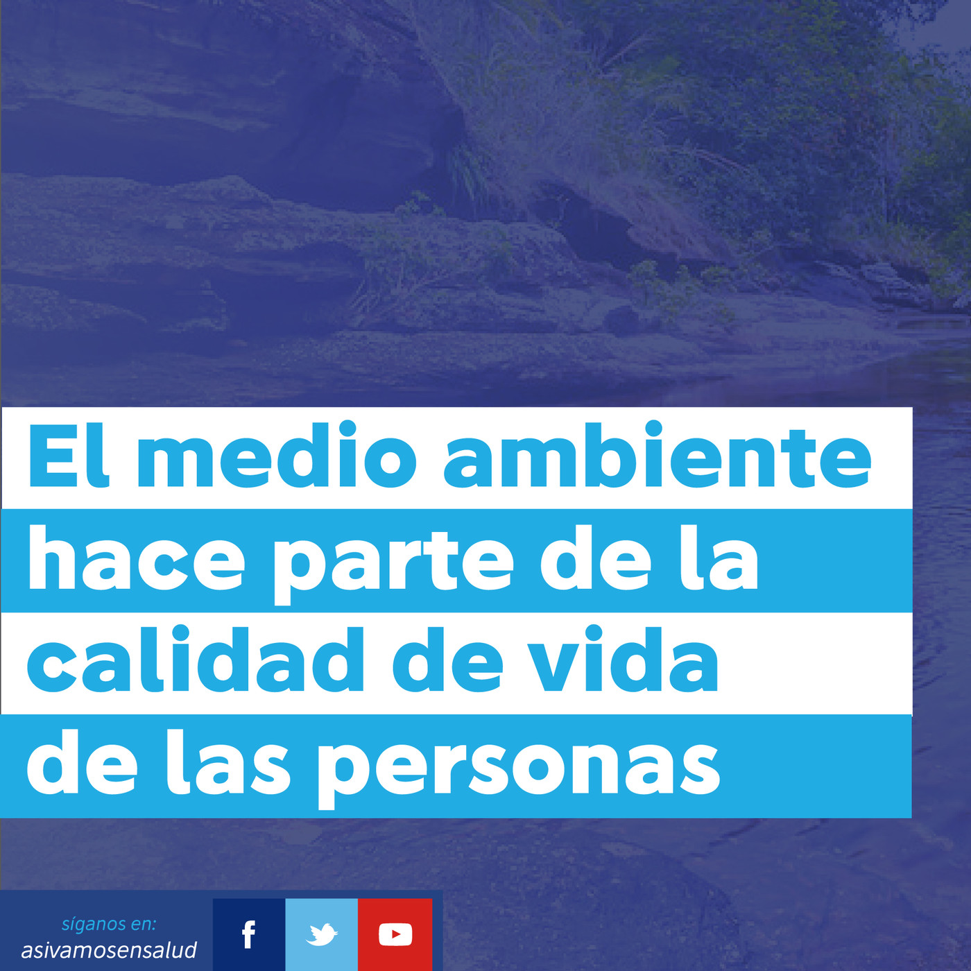 Salud Ambiental